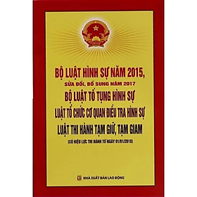 Bộ luật Hình sự, Bộ luật Tố tụng Hình sự, Luật tổ chức cơ quan điều tra hình sự, Luật thi hành tạm giữ, tạm giam - Nhiều tác giả - Nhà Xuất Bản Lao Động