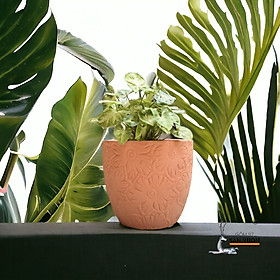 Chậu Gốm Đất Nung Vân Hoa Cúc  D13cm X H10cm