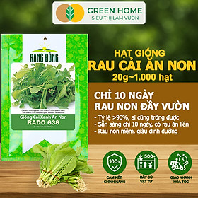 Hạt Giống Rau Cải Ăn Non Greenhome, Gói 20g~1000 hạt, Dễ Trồng Quanh Năm, Nảy Mầm Cao, Thu Hoạch Nhanh, Năng Suất Cao R05