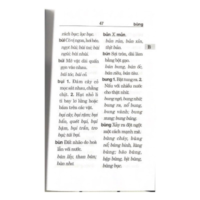 Sách - Từ Điển Chính Tả Tiếng Việt - VanLangBooks