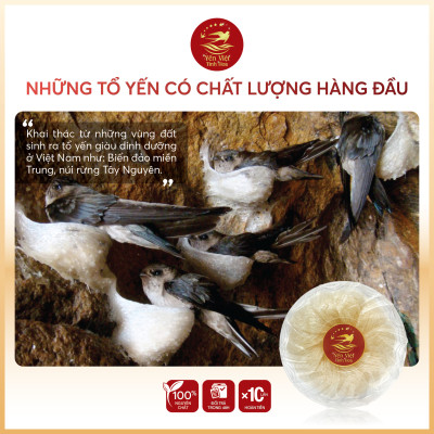 Tổ yến Tinh chế cao cấp 100 gram Yến Việt Tinh Hoa  - Hàng chính hãng