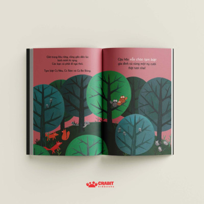 Đây Là Cú Nâu - Bìa Cứng