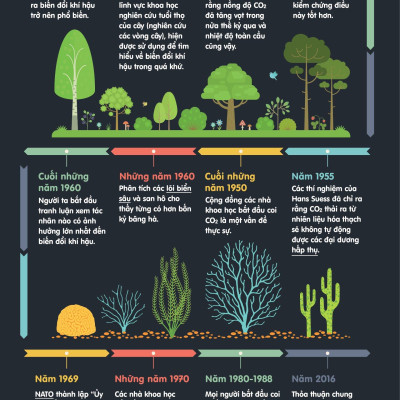 Infographics - Bách Khoa Tri Thức Bằng Đồ Họa Cho Trẻ Em - Biến Đổi Khí Hậu