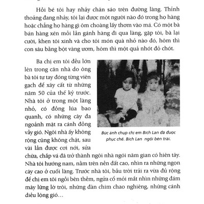 Tự Truyện Nguyễn Bích Lan - Không Gục Ngã (Tái Bản)
