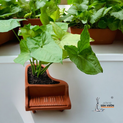 Chậu Gốm Đất Nung Mini Hình Đàn Piano - Chậu Gốm Decor