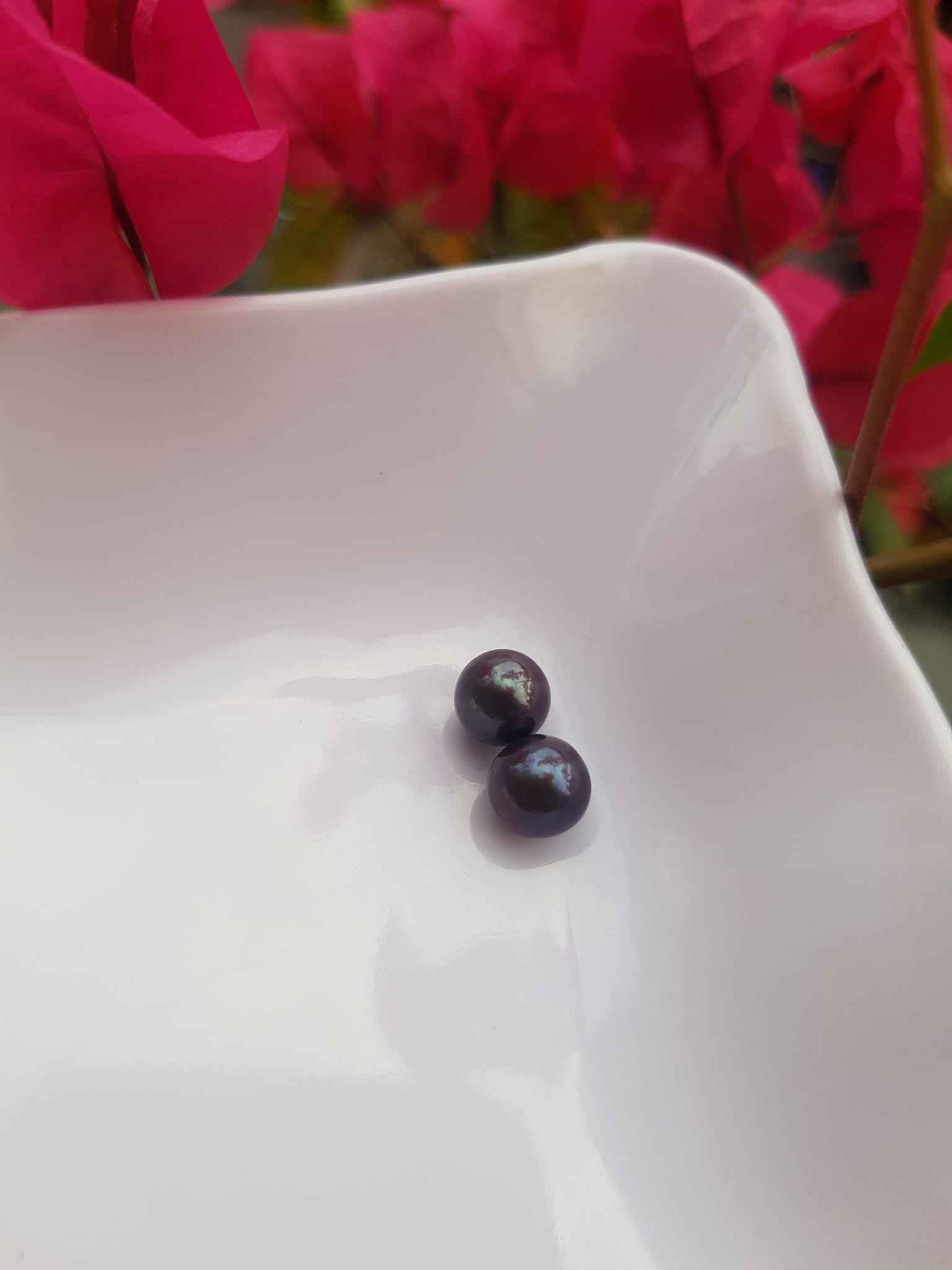 Đôi Bông Tai Ngọc Trai Cao Cấp Màu đen xám Size 7mm tự nhiên Mệnh thủy mộc Nữ về bọc làm đôi bông tai vàng đeo cực kỳ xinh ạ
