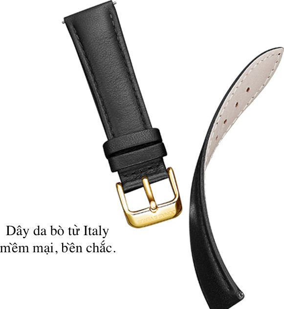 Đồng hồ đeo tay Nam hiệu JONAS & VERUS Y01563-A0.PPWLB, Máy Cơ (Automatic), Kính mo tráng sapphire, Dây da Italy
