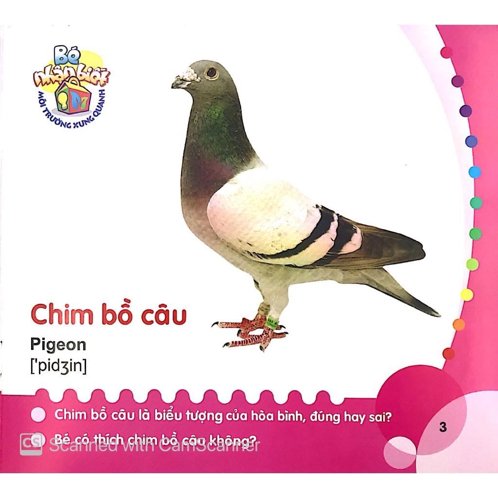Bé Nhận Biết Môi Trường Xung Quanh - Chim - Bản Quyền
