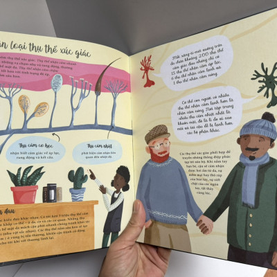 (in màu toàn bộ) BẢY GIÁC QUAN PHI THƯỜNG - Cathy Evans – Huyền Thục dịch – San Hô Books – NXB Thanh niên