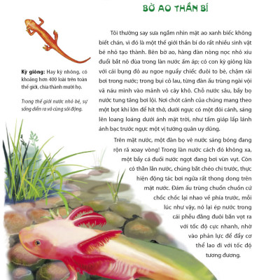 Côn Trùng Ký (Tái Bản)