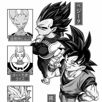 Dragon Ball Super 19 (Japanese Edition)
