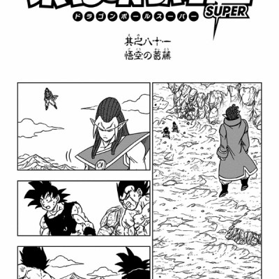 Dragon Ball Super 19 (Japanese Edition)