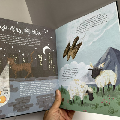 (in màu toàn bộ) BẢY GIÁC QUAN PHI THƯỜNG - Cathy Evans – Huyền Thục dịch – San Hô Books – NXB Thanh niên