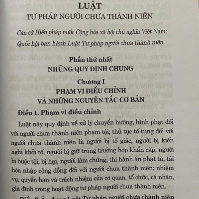 Luật Tư Pháp Người Chưa Thành Niên Năm 2024