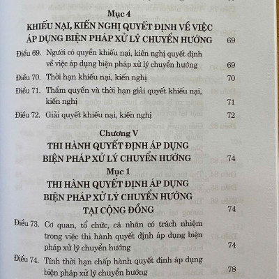 Luật Tư Pháp Người Chưa Thành Niên Năm 2024