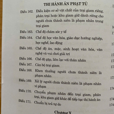 Luật Tư Pháp Người Chưa Thành Niên Năm 2024