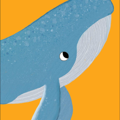 Sea Snap!