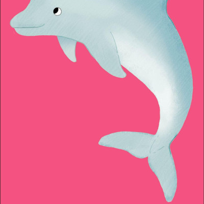 Sea Snap!