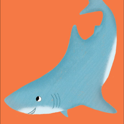Sea Snap!