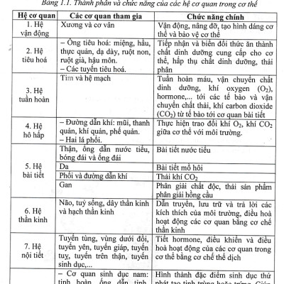 Bồi Dưỡng Học Sinh Giỏi Sinh Học 8 (Dùng Chung Cho Các Bộ SGK Hiện Hành)