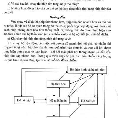 Bồi Dưỡng Học Sinh Giỏi Sinh Học 8 (Dùng Chung Cho Các Bộ SGK Hiện Hành)