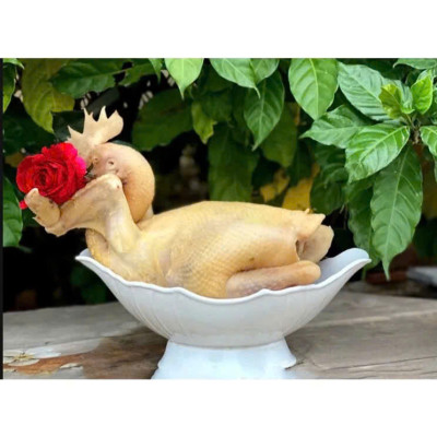 Bát đựng gà cúng hình thuyền đẹp mắt. Bát đựng gà nguyên con, bát đựng hoa quả gọn gàng , tiện dụng