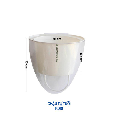 Chậu tự tưới treo tường đáy trong suốt Monrovia, chất liệu nhựa PP, phù hợp mọi không gian nhà