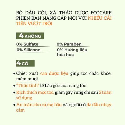 Dầu gội thảo dược ECOCARE 300ml đạt chuẩn CGMP, dầu gội xả thảo mộc giúp sạch gàu, giảm rụng tóc