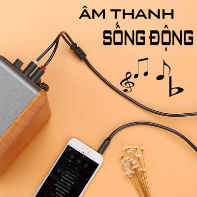 Ugreen UG10772AV102TK 1M màu Đen Cáp âm thanh 2 đầu Bông sen sang 3.5mm dương - HÀNG CHÍNH HÃNG