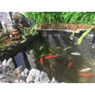 Keo, sơn quét chống thấm, vá trám vết nứt tường đa năng thông minh chống bong tróc trong nhà, ngoài trời ( 1kg). Tặng kèm chổi quét sơn và 2,5m vải