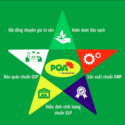 Điều Kinh PQA Giúp Bổ Huyết Điều Hòa Kinh Nguyệt, Giảm Đau Bụng Rong Kinh Hộp 125ml