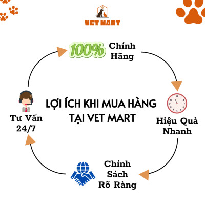 Sữa Tăng Cường Miễn Dịch five Milk Super For Pet Cho Thú Cưng 250g - Fivevet