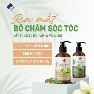 Dầu gội thảo dược ECOCARE 300ml đạt chuẩn CGMP, dầu gội xả thảo mộc giúp sạch gàu, giảm rụng tóc