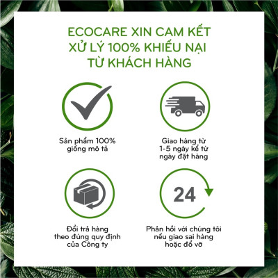 Dầu gội thảo dược ECOCARE 300ml đạt chuẩn CGMP, dầu gội xả thảo mộc giúp sạch gàu, giảm rụng tóc