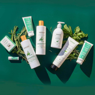 Sữa tắm hương thảo - bạc hà (EVERYDAY- ROSEMARY MINT) Moisturizing body wash 300ml