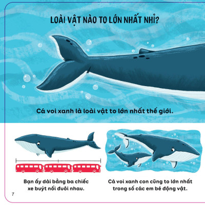 Lift-The-Flap - Thế Giới Động Vật - Bìa Cứng
