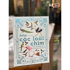 (Bìa cứng, in màu toàn bộ) A.TLAS CÁC LOÀI CHIM - Barbara Taylor – Lê Thu Hằng dịch - Đông A - NXB Dân Trí