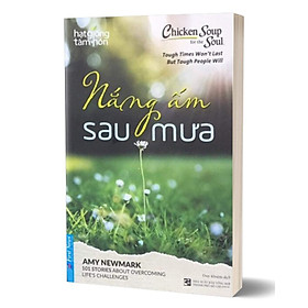 Hạt Giống Tâm Hồn - Chicken Soup For The Soul - Nắng Ấm Sau Mưa _FN