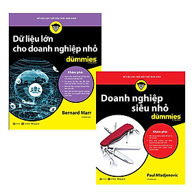 Sách - Doanh Nghiệp Siêu Nhỏ For Dummies + Dữ Liệu Lớn Cho Doanh Nghiệp Nhỏ For Dummies - Thái Hà Books
