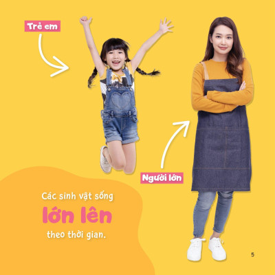 Sách Sự Sinh Trưởng Kỳ Diệu Của Vạn Vật - Vòng Đời Của Cây