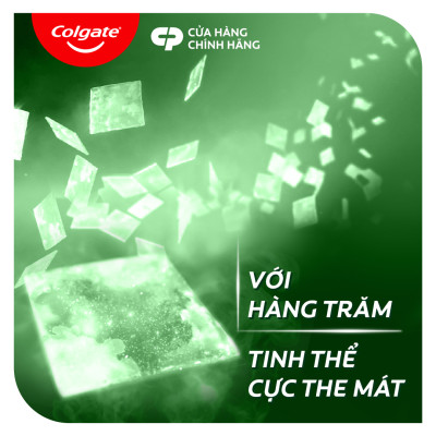 Bộ đôi kem đánh răng Maxfresh Than tre 175g