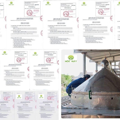 Tinh dầu Bạch Đàn Chanh 50ml Mộc Mây - tinh dầu thiên nhiên nguyên chất 100% - chất lượng và mùi hương vượt trội - Có kiểm định
