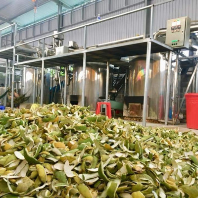 Tinh dầu Bưởi nguyên chất 100% từ vỏ bưởi thiên nhiên - KingOil