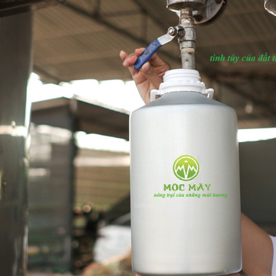 Tinh dầu Bạch Đàn Chanh 50ml Mộc Mây - tinh dầu thiên nhiên nguyên chất 100% - chất lượng và mùi hương vượt trội - Có kiểm định