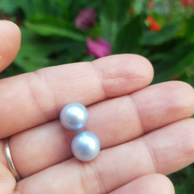 Đôi Bông Tai Ngọc Trai xanh dương nhẹ bóng đẹp 9mm Size hạt 9mm ngọc trai cao cấp thiên nhiên mệnh Thủy Mộc Nữ về bọc Vàng làm đôi bông tai vàng đeo cực kỳ xinh luôn ạ