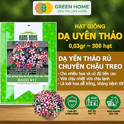 Hạt Giống Hoa Dạ Yến Thảo Sọc, Gói 0,03g~300 hạt, Màu Rực Rỡ, Dễ Trồng Quanh Năm, Nảy Mầm Cao H12