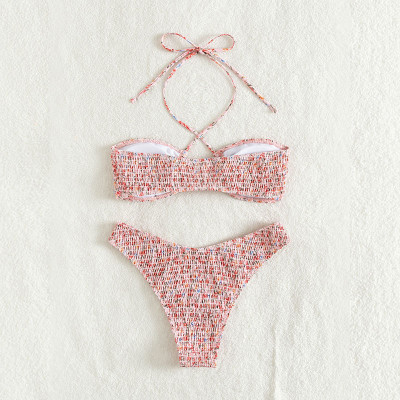 Bộ bikini 2 Mảnh Có Dây Đeo Cổ Thời Trang Cho Nữ