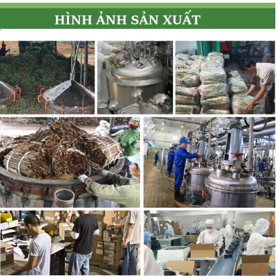 Tinh dầu Gừng 10ml nguyên chất từ thiên nhiên, Thơm Phòng, Khử Mùi, Kháng Khuẩn, Đuổi Muỗi - KingOil