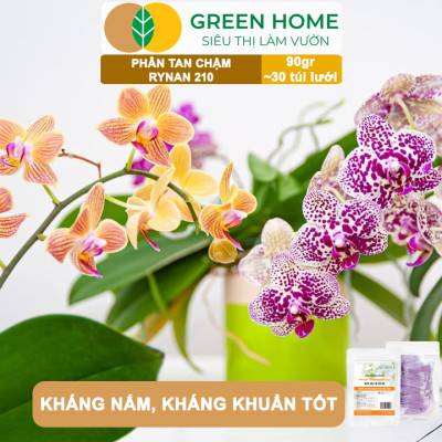 Phân Tan Chậm GreenHome, Rynan 210, Bao 90g ~ 30 Túi Lưới 3g, Chuyên Dùng Cho Phong Lan Trưởng Thành