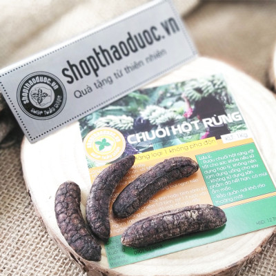Combo 2 Gói Chuối Hột Rừng Sấy Khô Shop Thảo Dược ( Mỗi gói 1KG ) - Hỗ Trợ Chữa Viêm Khớp, Đau Khớp, Đau Dạ Dày, Gout Và Sỏi Thận